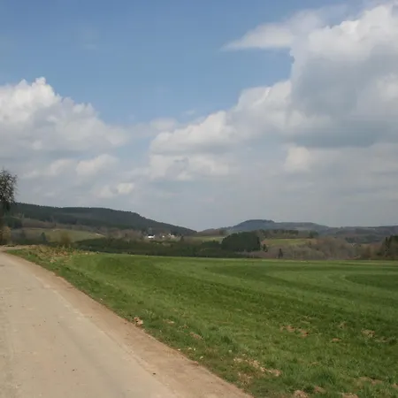 Detached With Dishwasher, In A Area * Hinterhausen