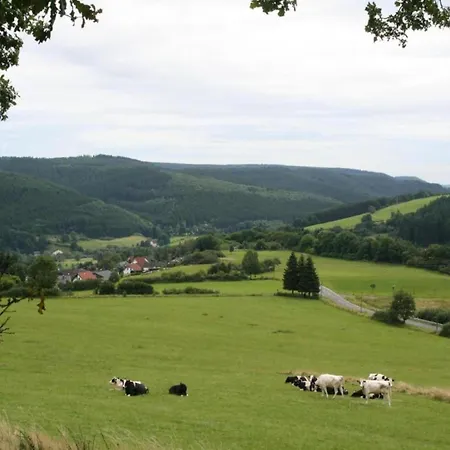 Detached With Dishwasher, In A Area * Hinterhausen